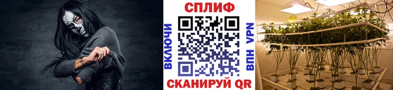 Купить наркоту Каменногорск ГАШ Амфетамин NBOMe МЕФ